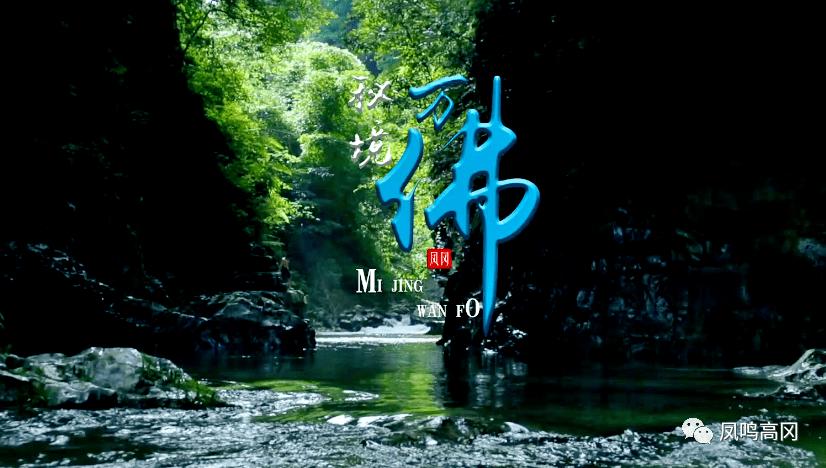 拯救龙精灵