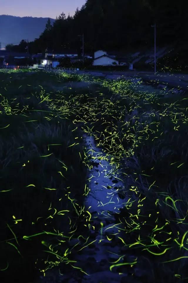 幽幽梦游记
