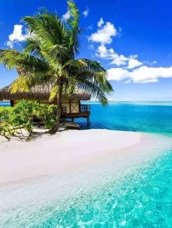 爱旅行的芭比
