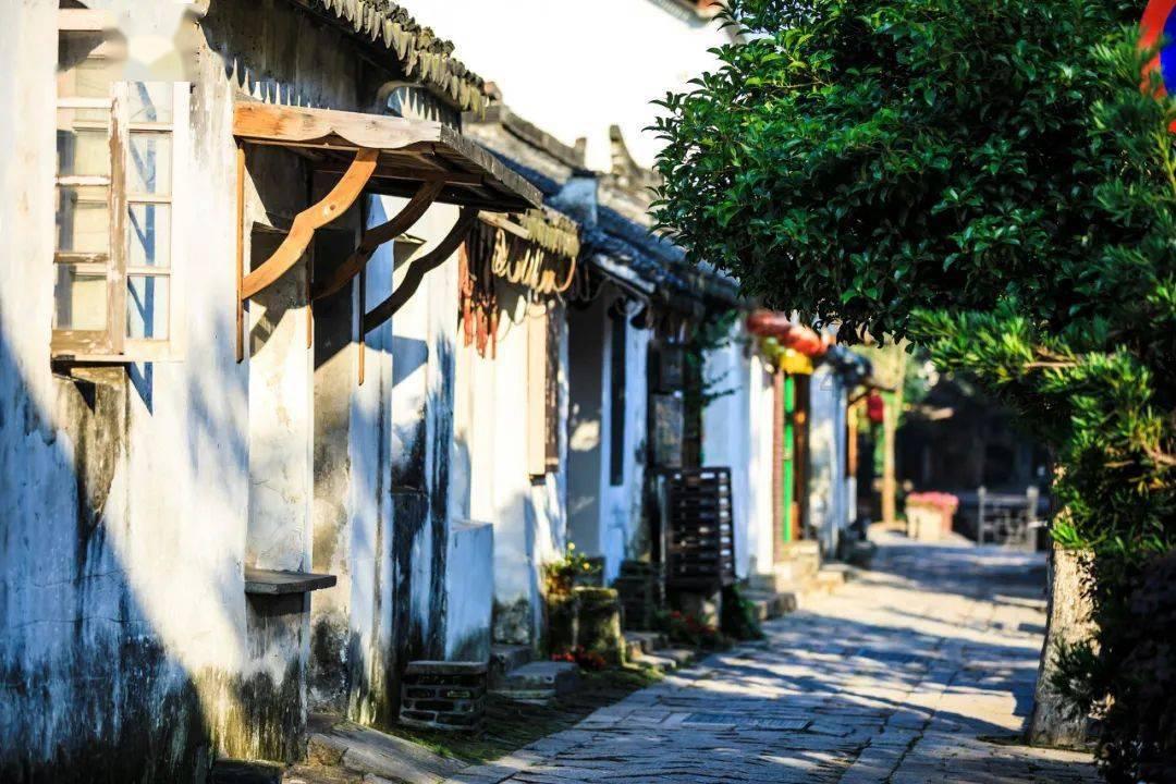 新忍出击